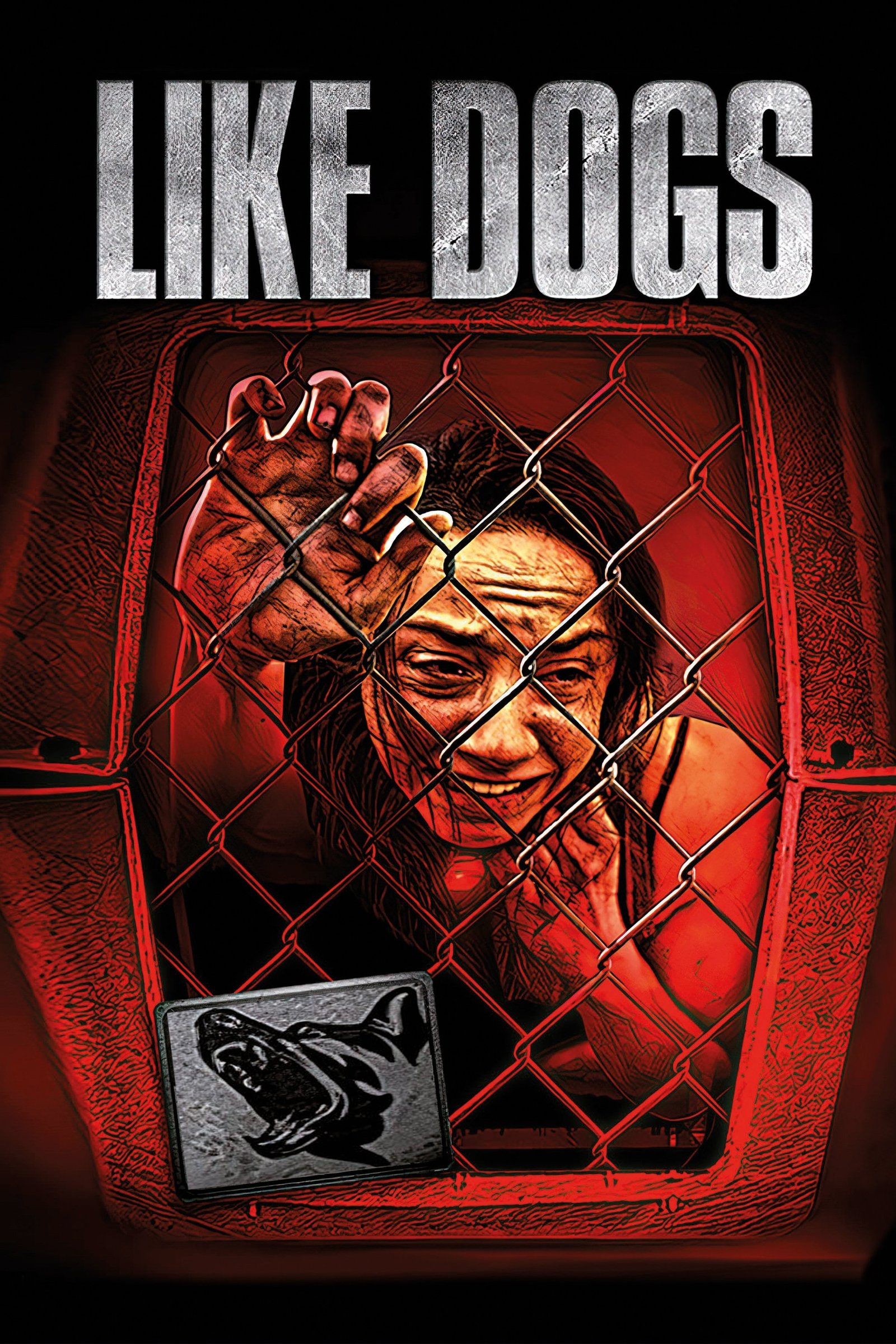 Like Dogs - Me titra shqip