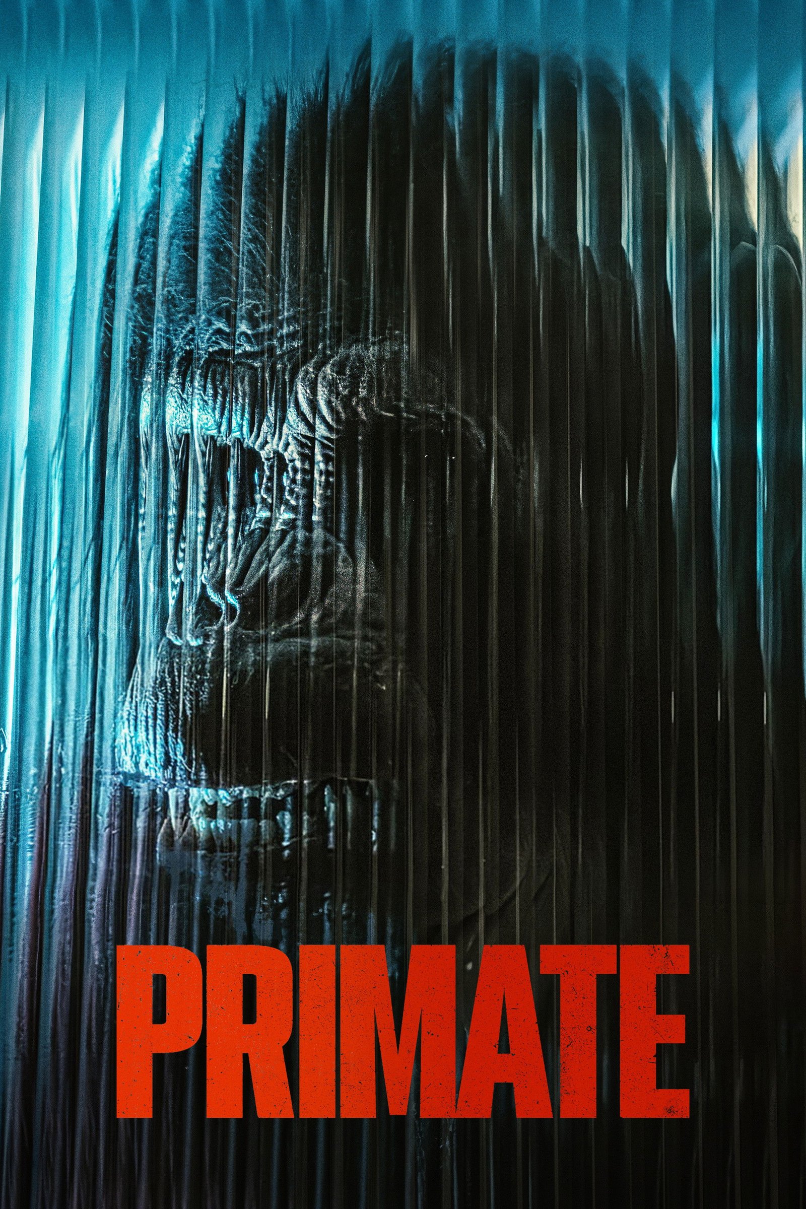 Primate - Me titra shqip